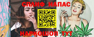 Альфа ПВП Дубна