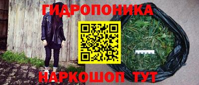 Альфа ПВП Дубна
