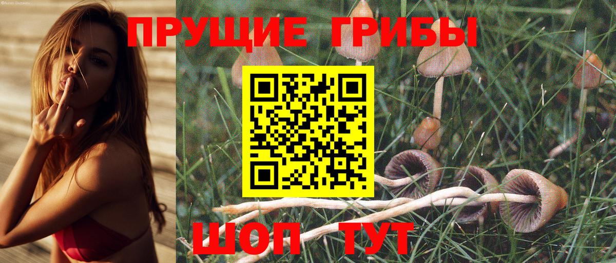 Галлюциногенные грибы GOLDEN TEACHER  Вход с VPN  Узловая 